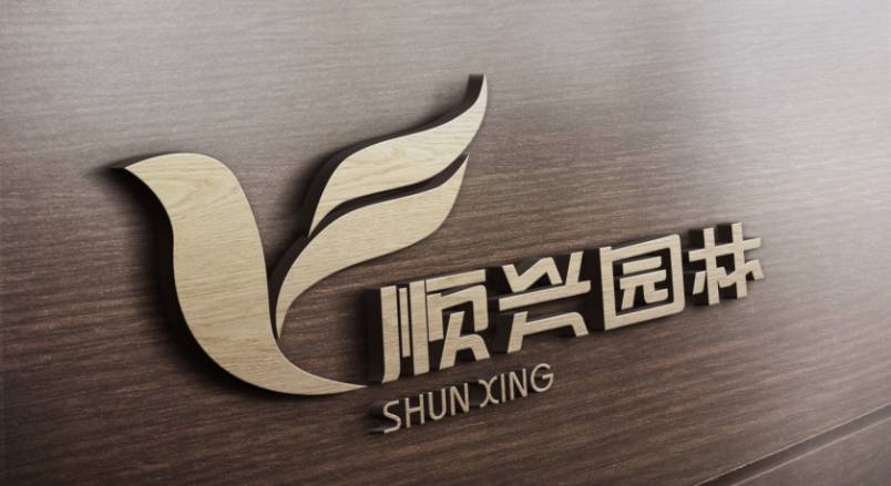 龙山县VI设计：城市品牌蝶变的核心引擎